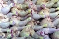 Angola despende 850 mil dólares por dia na importação de frango – governo