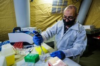 Covid-19: Itália regista mais 22 mortos e 174 novas infeções nas últimas 24 horas