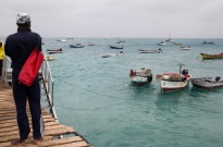 Nova espécie de enguia identificada em Cabo Verde
