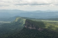 Desflorestação na Amazónia brasileira diminui 11% num ano