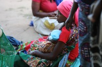 Estudo aponta 1,2 milhões de moçambicanos em insegurança alimentar