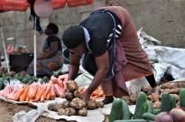 Moçambique projeta mais de 21 milhões de toneladas de alimentos em campanha agrária