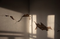 Sismo de magnitude 5,2 no sul da China faz dois mortos e um ferido