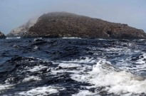 Superfície global do oceano atingiu a temperatura recorde de 21 graus em 2024