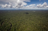 Incêndios na Amazônia brasileira caem em setembro para o nível mais baixo em 25 anos