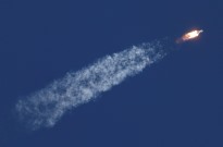 Rússia realiza experiências com uma ‘Arca de Noé’ no espaço