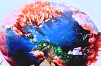 Brasil lança títulos para recompensar preservação ambiental em áreas privadas