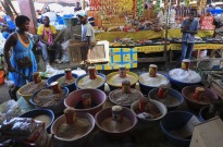 Comerciantes africanos em Angola querem apoio para legalizar 300 mil "mamadus"