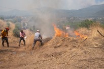 Mais de 50.000 deslocados devido a incêndios na Turquia
