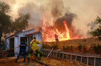 Emigrantes afetados pelos fogos serão considerados nas indemnizações - Governo