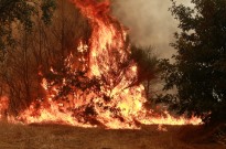 Brasil regista o menor número de incêndios no mês de agosto em 27 anos