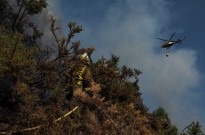 Espanha com 16 fogos mais preocupantes sobretudo em Castela e Leão