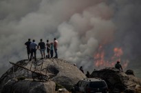 Cerca de 160 mil hectares de áreas protegidas ardidas em Espanha