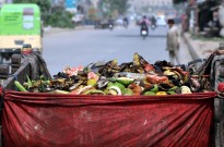 ONU alerta para os 1.000 milhões de toneladas de alimentos desperdiçados por ano