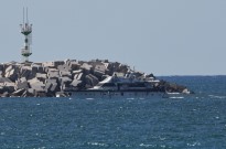 Mais de 400 militantes da flotilha para Gaza detidos