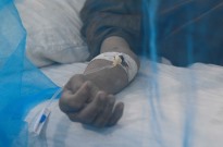 Fundação quer colocar Timor-Leste nas orientações da OMS para combate à dengue