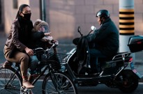 Cães e gatos ganham espaço na China dos berços vazios