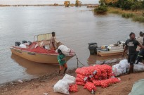 Subida dos preços em Moçambique mais do que duplicou em janeiro nas cheias