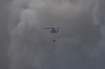 Investigadores esperam ano "particularmente severo" para incêndios florestais
