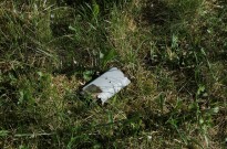 Estónia instala primeiros sistemas fixos de vigilância antidrone na fronteira com Rússia