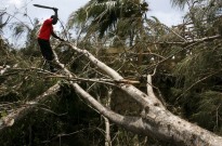 Moçambique quer exportar produtos florestais transformados para reter valor económico