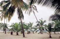 Cabo Verde quer estabelecer Acordo de Facilitação de Investimento Sustentável com UE