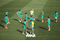 Palmeiras e Flamengo tentam isolar-se como recordistas brasileiros na Libertadores