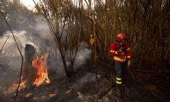 Aumento das temperaturas até sábado aumenta risco de fogos rurais