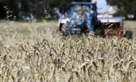 Governo proibe uso de fogo e maquinaria agrícola devido ao risco de incêndio