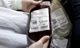 Federação pede mobilização urgente de dadores para evitar falta de sangue nos hospitais