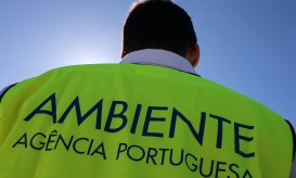 ONG avançam com providência cautelar para travar retirada de professores de projetos ambientais