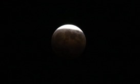 Domingo há eclipse total da Lua, mas "não será muito fácil” vê-lo em Portugal