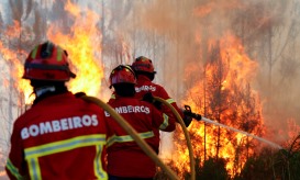 Incêndios: Grupos de trabalho para redução de ignições investigaram 1.072 fogos em 2023 - ICNF