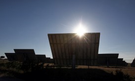 Zero defende chumbo da central fotovoltaica da Beira por ameaçar biodiversidade