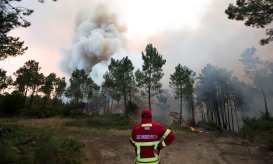 Cerca de uma centena de operacionais combatem incêndio em Vale de Cambra