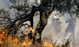 Mais de 60 concelhos de nove distritos em perigo máximo de incêndio