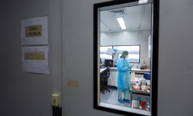 Covid-19: Curva epidémica em LVT não permite concluir que se está perante segunda vaga - INSA