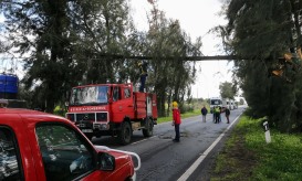 Homem morre em carro submerso em linha de água no concelho de Serpa