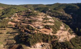 Providência cautelar quer travar entrada em terrenos de Covas do Barroso para explorção de lítio
