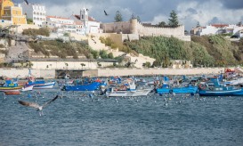 Lançado concurso para estudo de impacto ambiental da dessalinizadora de Sines