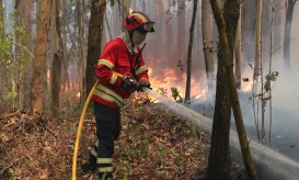 Dominado incêndio no concelho de Alandroal