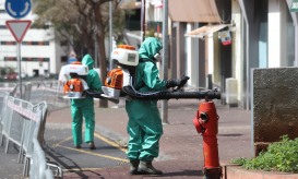 Covid-19: Madeira regista 50 novos casos positivos e 194 recuperados