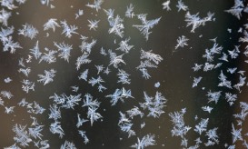 Seis distritos em aviso laranja e quatro em amarelo para queda de neve hoje e domingo
