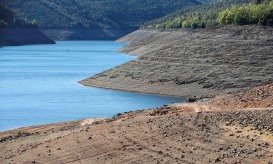 Filtros naturais asseguram consumo de água de qualidade da barragem de Vilar