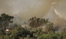Força Aérea responsabiliza Proteção Civil pela localização dos meios aéreos