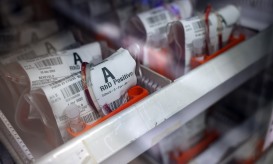 Federação apela à dádiva de sangue em época festiva