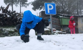 Queda de neve fecha estrada no maciço central da Serra da Estrela