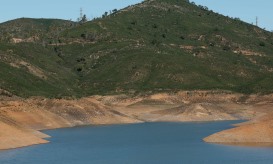Agência da UE pede políticas concretas para resolver "escassez de água" em Portugal e outros países
