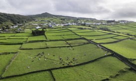 Sismo de magnitude 2,4 na escala de Richter sentido na ilha Terceira