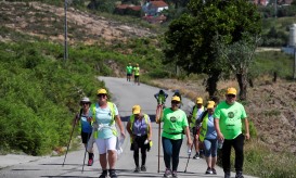 Cerca de 300 operacionais na operação da Proteção Civil para peregrinação de 12 e 13 de maio a Fátima